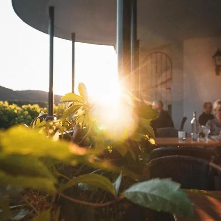 Leutesdorfer Hof * Leutesdorf