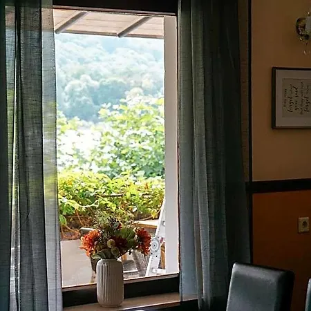 Hotel Leutesdorfer Hof *