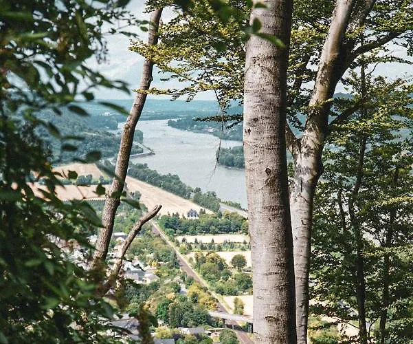 Leutesdorfer Hof Leutesdorf